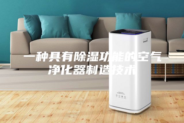 一種具有除濕功能的空氣凈化器制造技術(shù)
