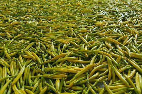 無(wú)硫金針菜烘干如何保持品相?不發(fā)黑?_除濕機(jī)廠(chǎng)家