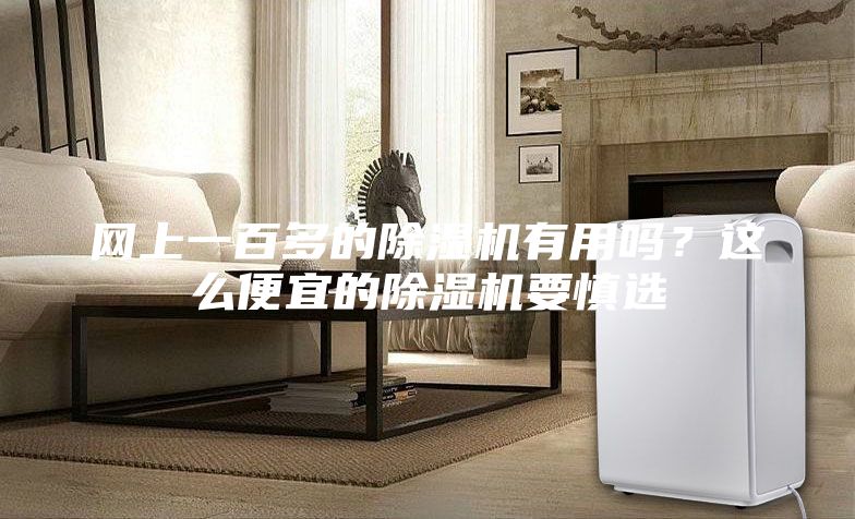 網上一百多的除濕機有用嗎?這么便宜的除濕機要慎選