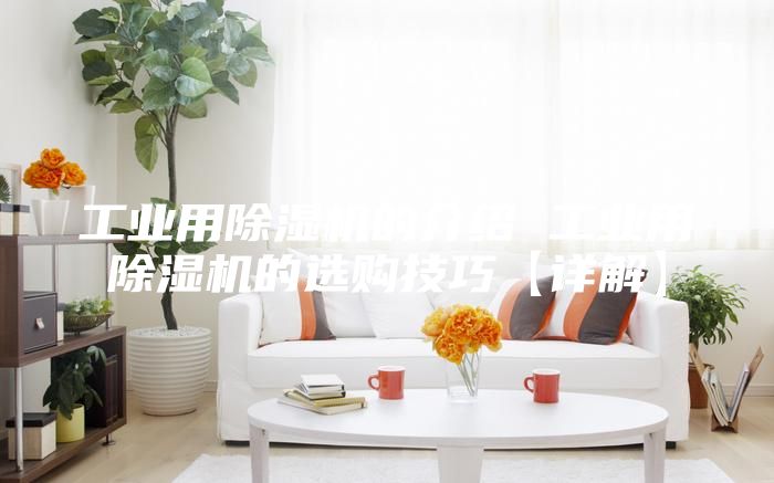 工業(yè)用除濕機(jī)的介紹 工業(yè)用除濕機(jī)的選購(gòu)技巧【詳解】