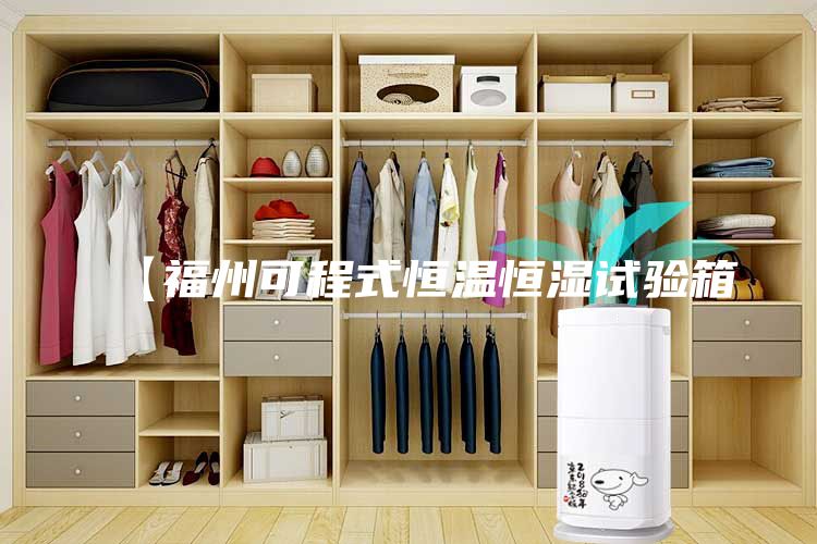 【福州可程式恒溫恒濕試驗(yàn)箱