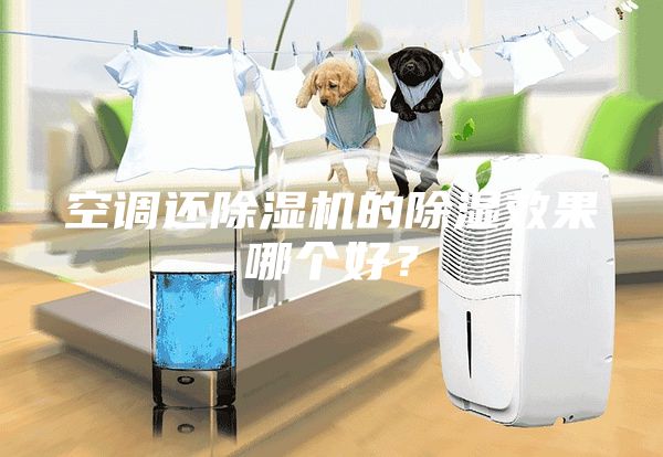 空調(diào)還除濕機(jī)的除濕效果哪個(gè)好？