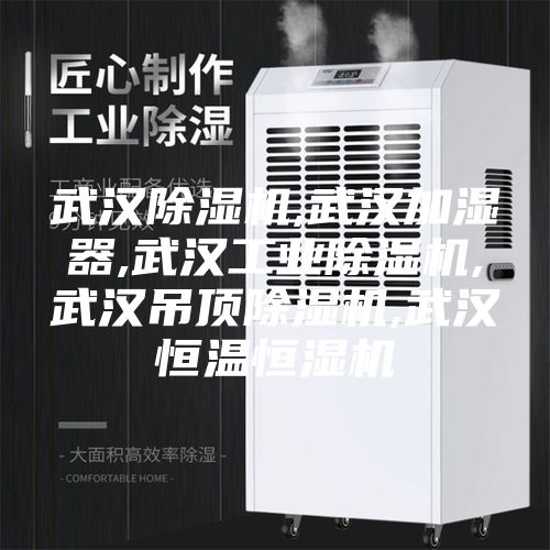 武漢除濕機,武漢加濕器,武漢工業除濕機,武漢吊頂除濕機,武漢恒溫恒濕機