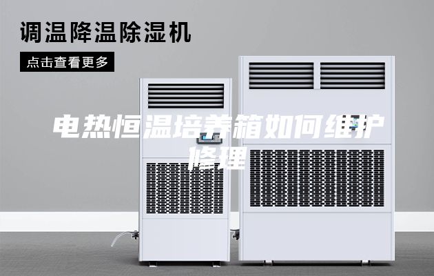 電熱恒溫培養箱如何維護修理