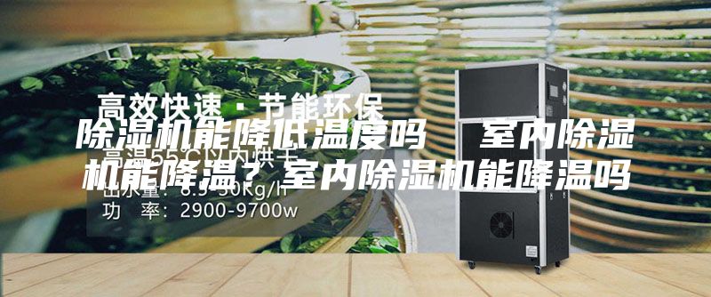 除濕機(jī)能降低溫度嗎 室內(nèi)除濕機(jī)能降溫?室內(nèi)除濕機(jī)能降溫嗎