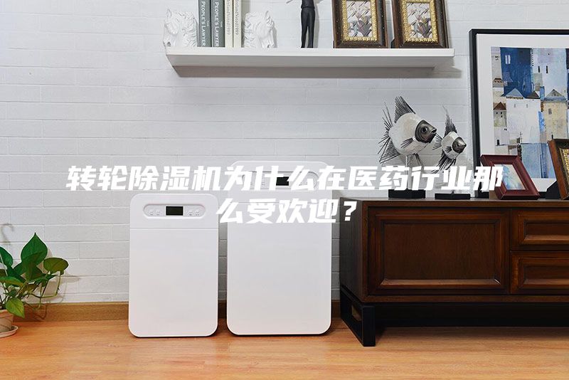 轉(zhuǎn)輪除濕機(jī)為什么在醫(yī)藥行業(yè)那么受歡迎?