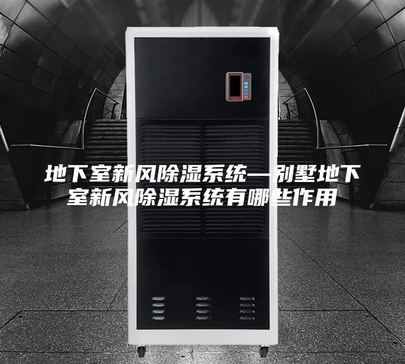 地下室新風(fēng)除濕系統(tǒng)—?jiǎng)e墅地下室新風(fēng)除濕系統(tǒng)有哪些作用