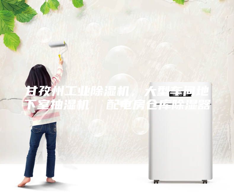 甘孜州工業(yè)除濕機(jī)，大型車間地下室抽濕機(jī)  配電房倉(cāng)庫(kù)除濕器