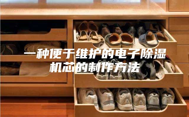 一種便于維護(hù)的電子除濕機芯的制作方法