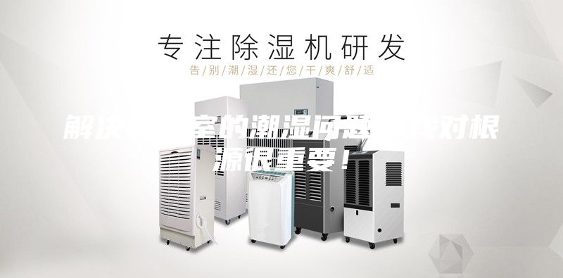 解決地下室的潮濕問題，找對根源很重要！