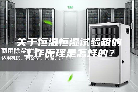 關于恒溫恒濕試驗箱的工作原理是怎樣的?