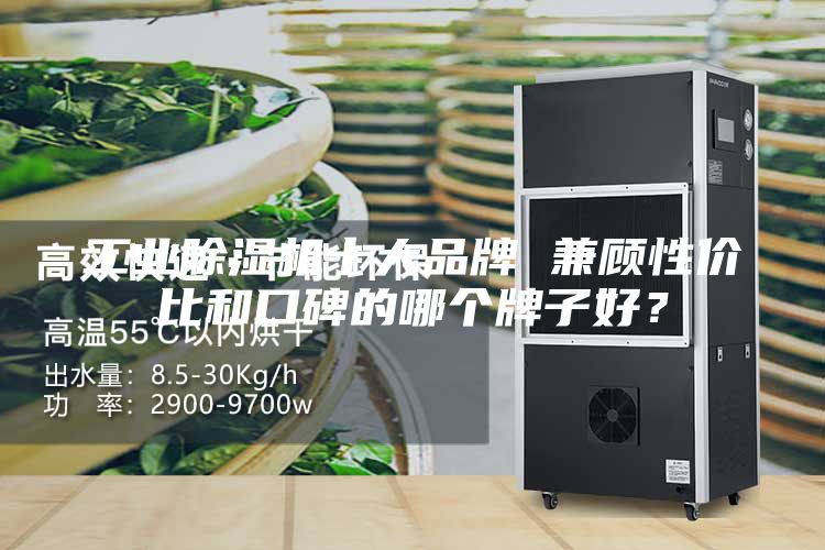 工業除濕機十大品牌 兼顧性價比和口碑的哪個牌子好？