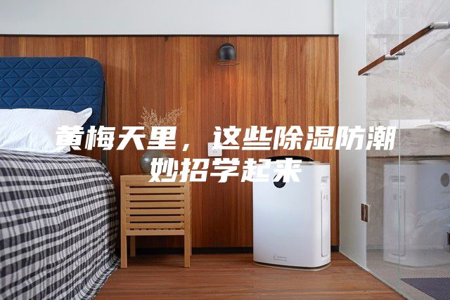 黃梅天里，這些除濕防潮妙招學起來