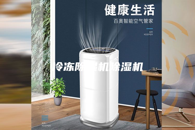 冷凍除濕機(jī)除濕機(jī)