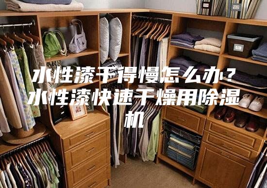 水性漆干得慢怎么辦?水性漆快速干燥用除濕機(jī)