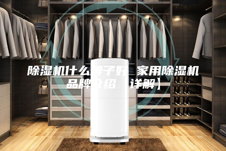除濕機(jī)什么牌子好 家用除濕機(jī)品牌介紹【詳解】