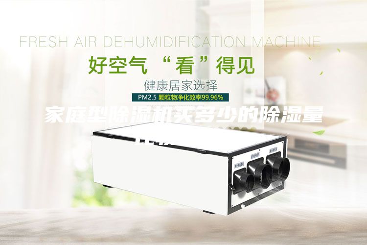 家庭型除濕機買多少的除濕量比較合適？