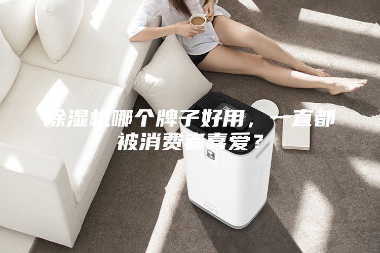 除濕機哪個牌子好用，一直都被消費者喜愛？