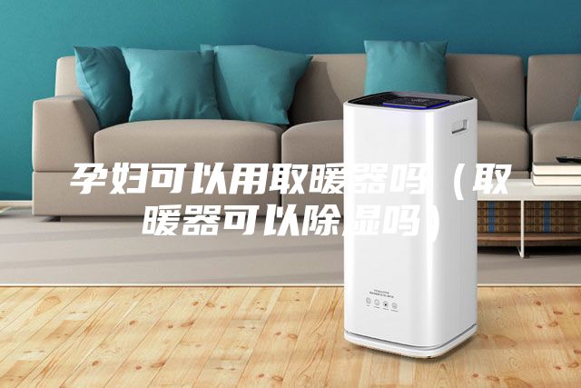 孕婦可以用取暖器嗎（取暖器可以除濕嗎）