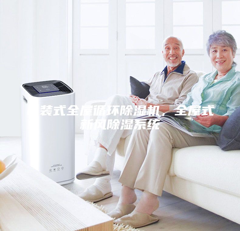 吊裝式全屋循環(huán)除濕機(jī)，全屋式新風(fēng)除濕系統(tǒng)