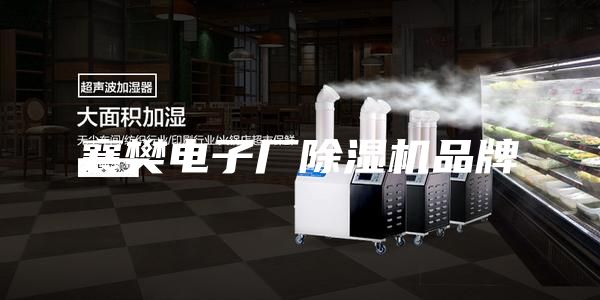 襄樊電子廠(chǎng)除濕機(jī)品牌