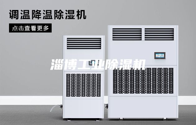 淄博工業(yè)除濕機(jī)