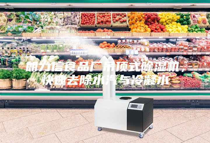 朗力信食品廠吊頂式除濕機，快速去除水汽與冷凝水