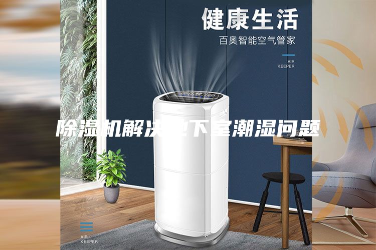 除濕機解決地下室潮濕問題