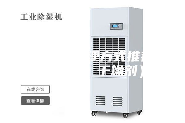 房間潮濕處理方式推薦（除濕機、干燥劑）