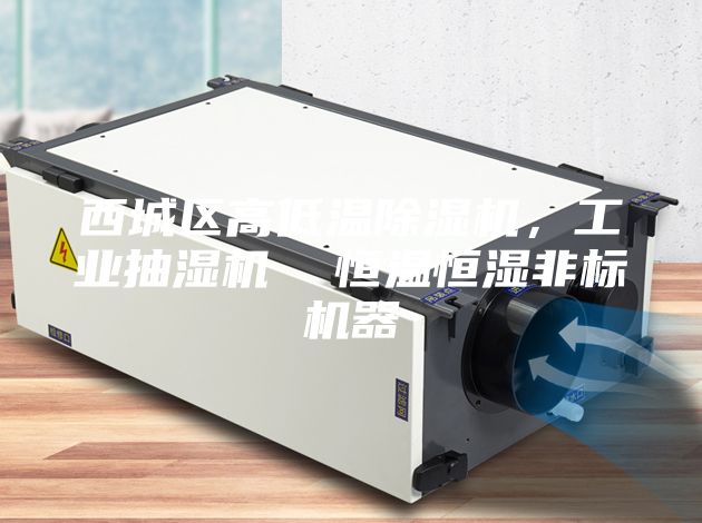 西城區(qū)高低溫除濕機，工業(yè)抽濕機  恒溫恒濕非標機器