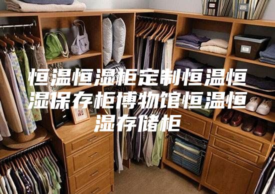 恒溫恒濕柜定制恒溫恒濕保存柜博物館恒溫恒濕存儲柜