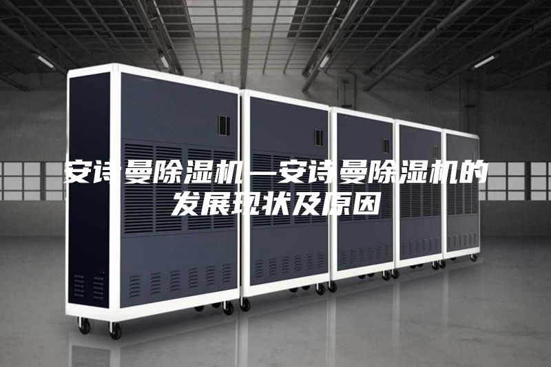 安詩(shī)曼除濕機(jī)—安詩(shī)曼除濕機(jī)的發(fā)展現(xiàn)狀及原因