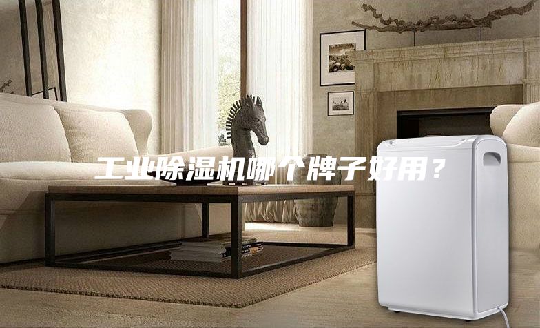 工業(yè)除濕機哪個牌子好用？