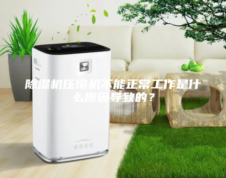 除濕機壓縮機不能正常工作是什么原因?qū)е碌模?/></p>
                            <p style=