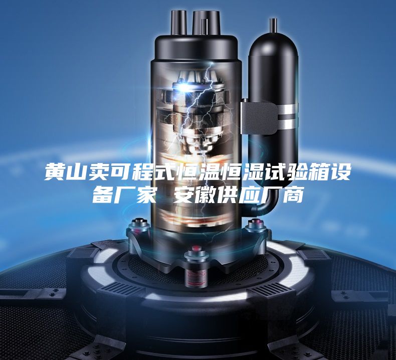 黃山賣(mài)可程式恒溫恒濕試驗(yàn)箱設(shè)備廠家 安徽供應(yīng)廠商