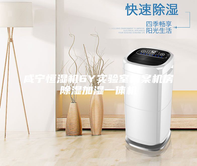 咸寧恒濕機6Y實驗室檔案機房除濕加濕一體機