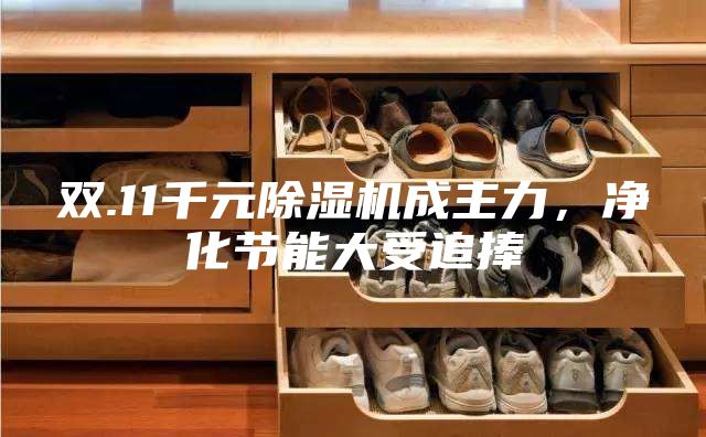 雙.11千元除濕機成主力，凈化節(jié)能大受追捧