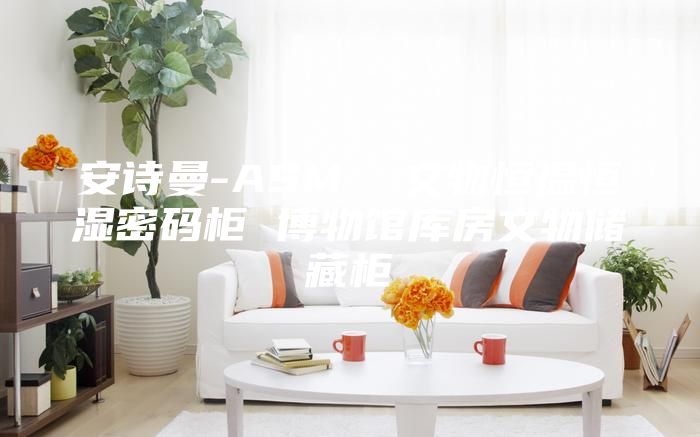 安詩(shī)曼-ASM  文物恒溫恒濕密碼柜 博物館庫(kù)房文物儲(chǔ)藏柜