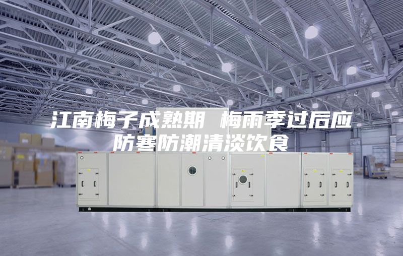江南梅子成熟期 梅雨季過后應(yīng)防寒防潮清淡飲食