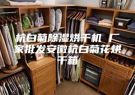 杭白菊除濕烘干機(jī) 廠家批發(fā)安徽杭白菊花烘干箱