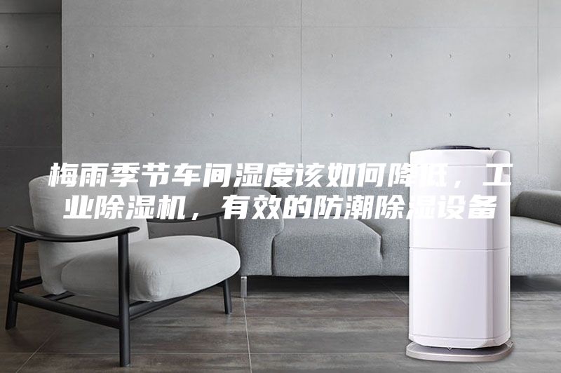 梅雨季節車間濕度該如何降低，工業除濕機，有效的防潮除濕設備