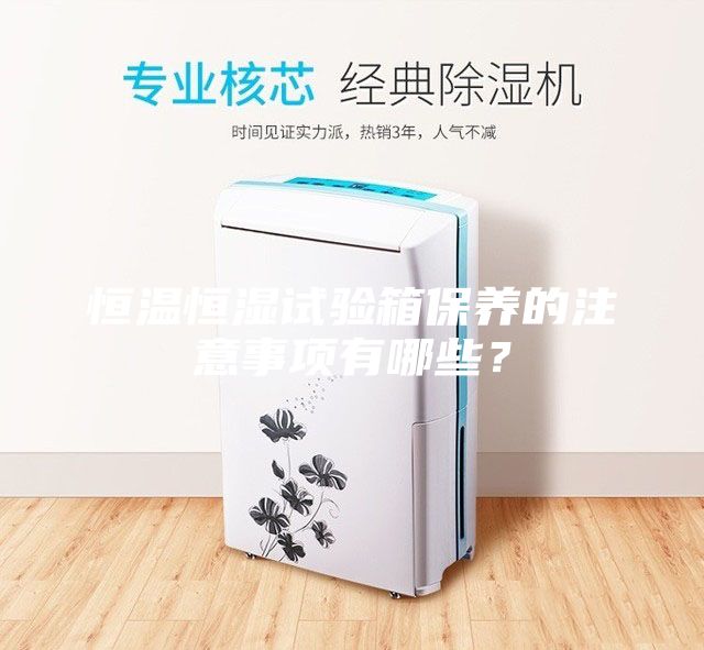 恒溫恒濕試驗箱保養(yǎng)的注意事項有哪些？