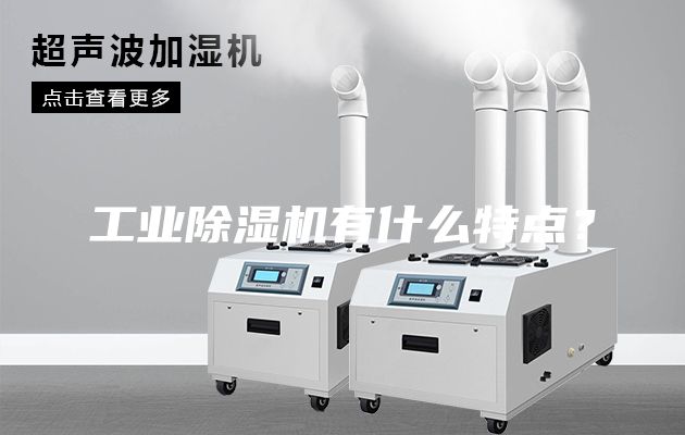 工業(yè)除濕機(jī)有什么特點(diǎn)？