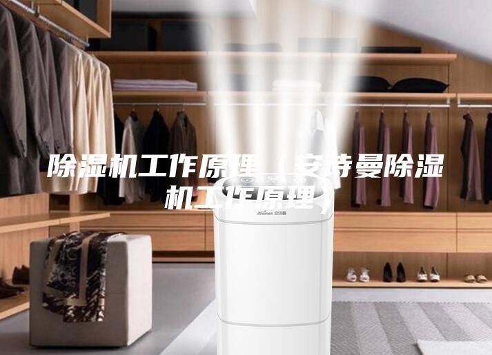 除濕機(jī)工作原理（安詩曼除濕機(jī)工作原理）