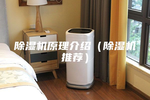 除濕機原理介紹（除濕機推薦）