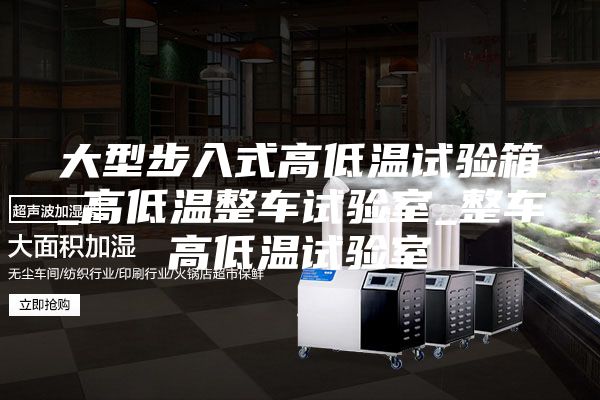 大型步入式高低溫試驗(yàn)箱_高低溫整車試驗(yàn)室_整車高低溫試驗(yàn)室