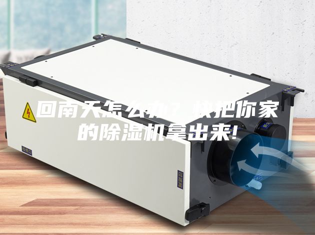 回南天怎么辦？快把你家的除濕機(jī)拿出來!