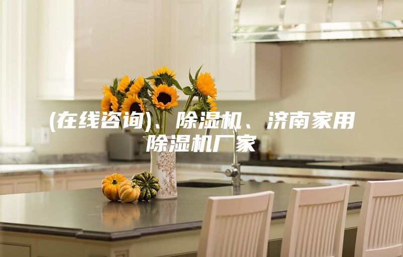(在線咨詢)、除濕機(jī)、濟(jì)南家用除濕機(jī)廠家