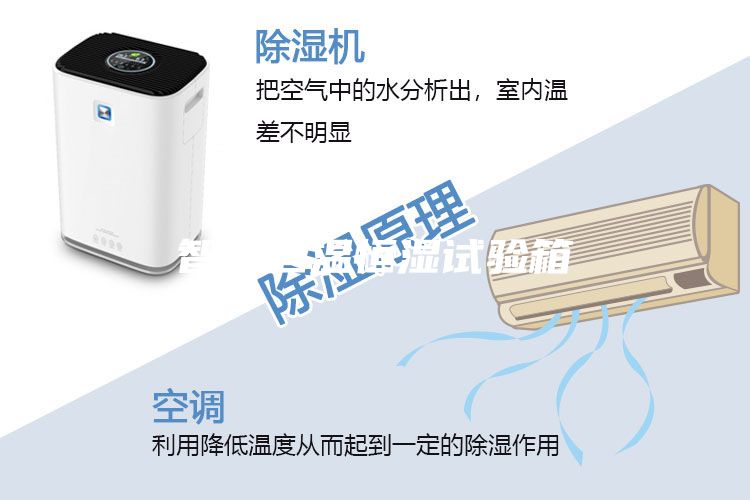 智能恒溫恒濕試驗箱