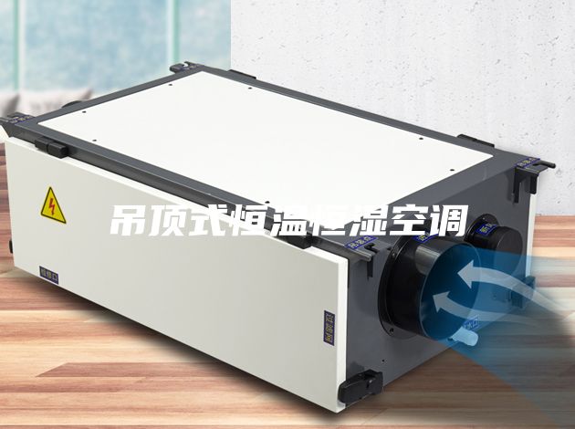 吊頂式恒溫恒濕空調(diào)